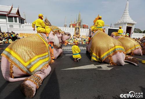 现代版风流国王-玛哈，豪车私人飞机不断，花钱如流水