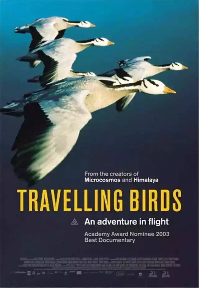 适合暑假和孩子一起看的10部电影,暑期电影