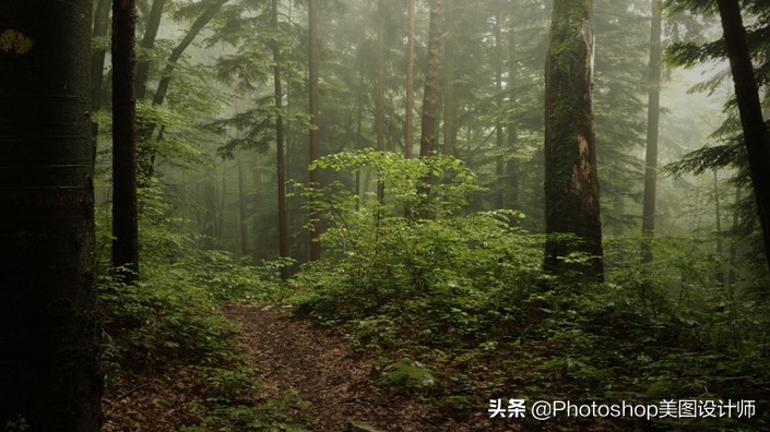 新手如何学习ps,ps手把手教你学会新手入门