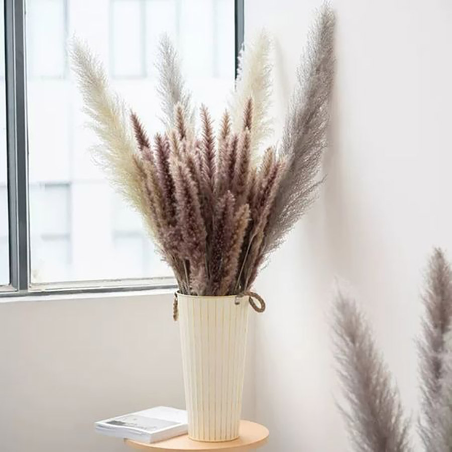 ins风房间干花布置用品,家居干花布置