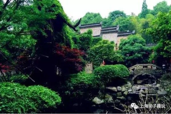 假期给大家送个福利,假期超强福利分享礼包