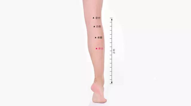 脾虚体寒怎么调理最有效,脾虚体寒湿气重怎么调理