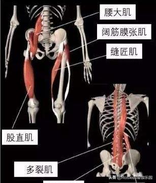 想练腿有什么方法,练长腿瘦腿
