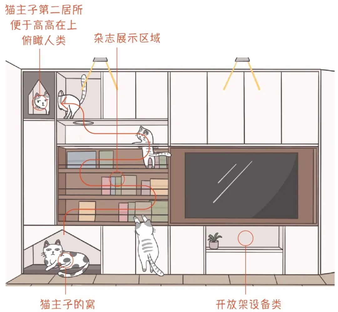 这家的电视柜既能收纳,也是喵星人乐园