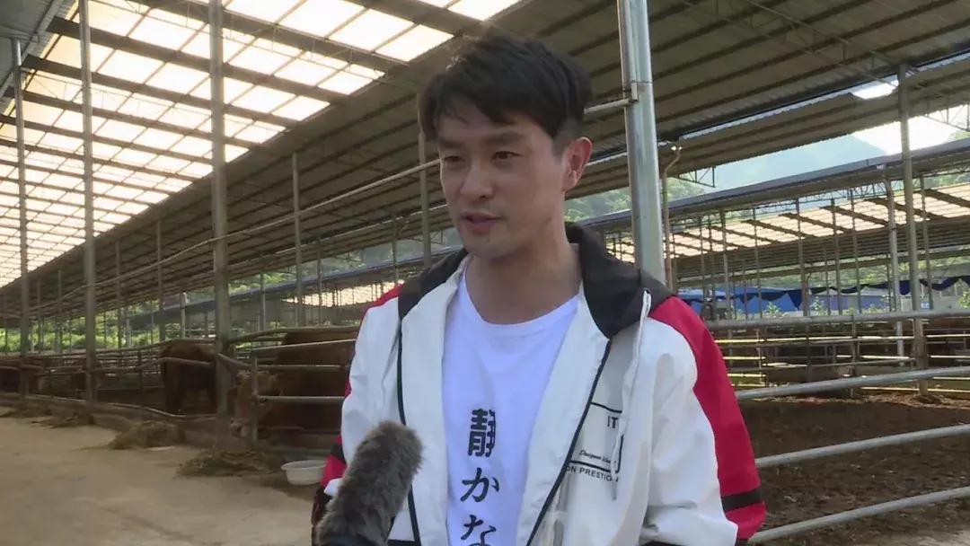 左庭右院寻牛节,左庭右院鲜牛肉火锅昆明