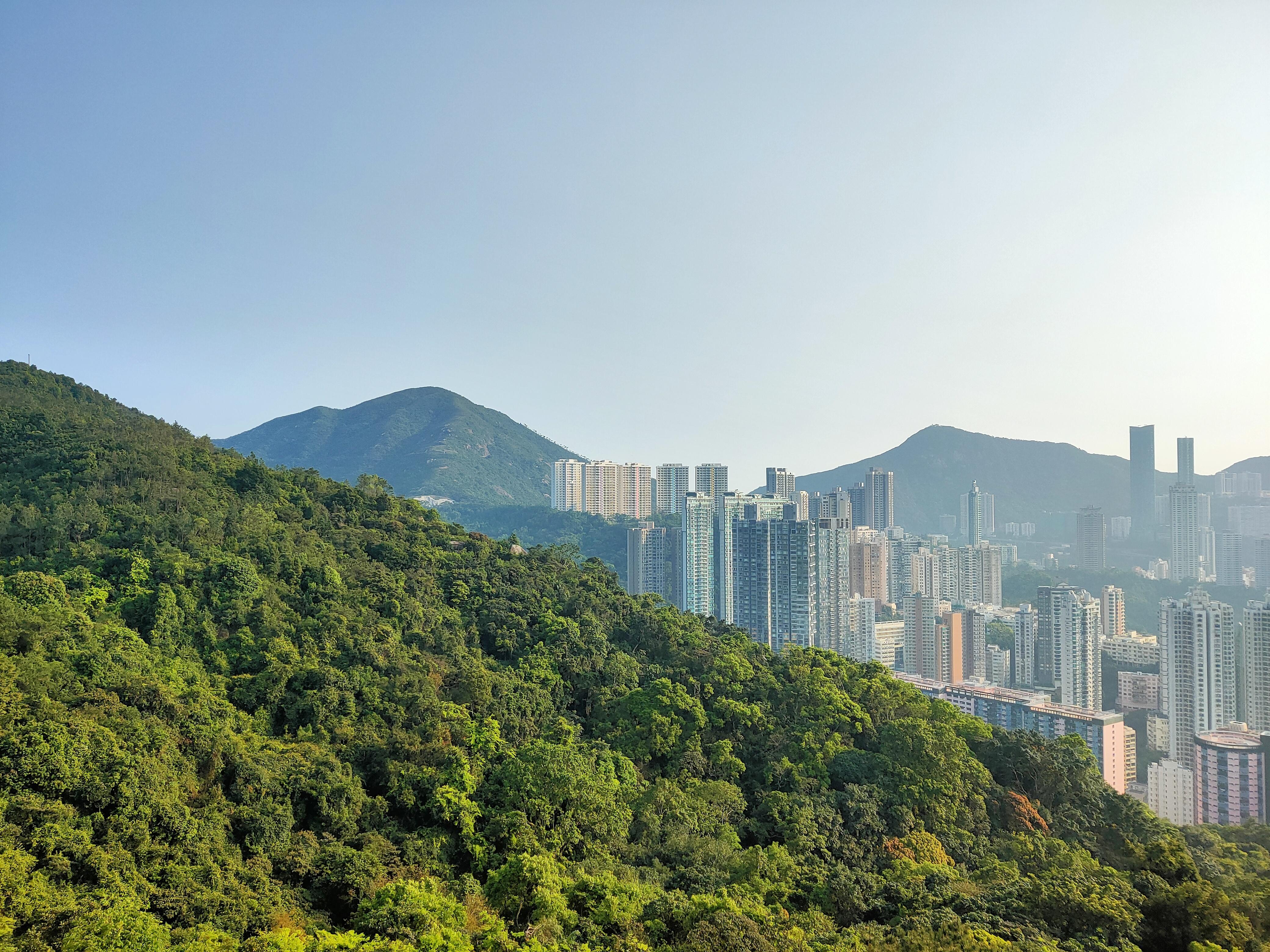 oppo拍的照片不好看怎么调,oppo拍的照片找不到了怎么回事