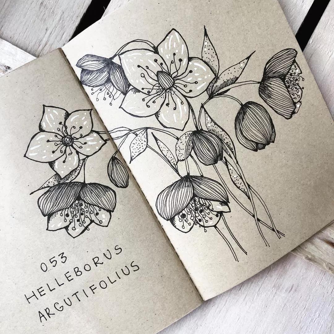 一看就懂的针管简笔画,针管笔入门手绘1000例临摹图