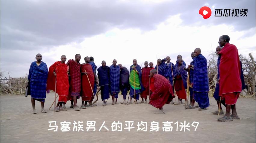 这个地方不简单,跳得高才能娶到媳妇,西瓜视频“玩转”狂野非洲