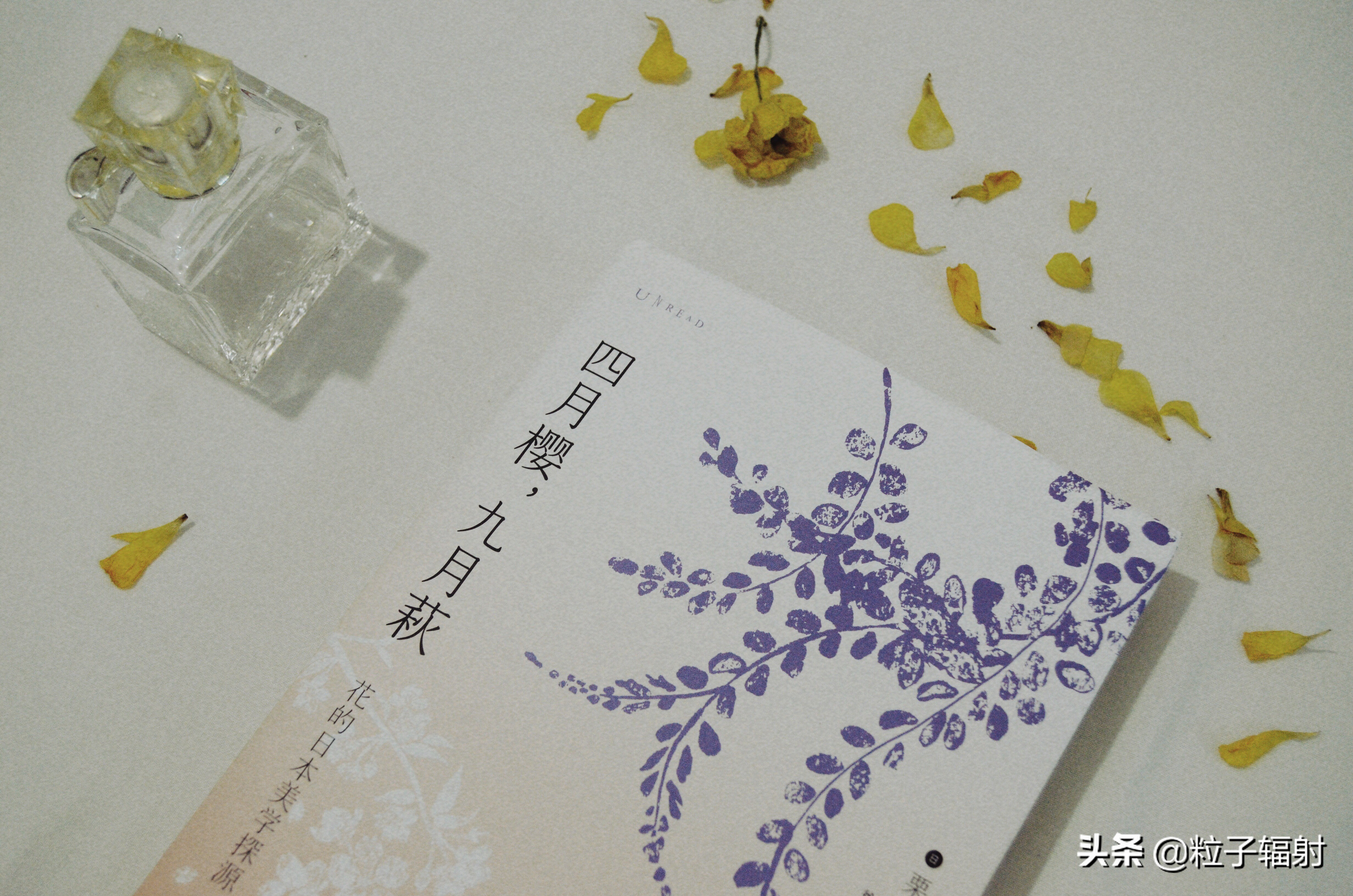 写给春天的告白情书,写一封告白的情书