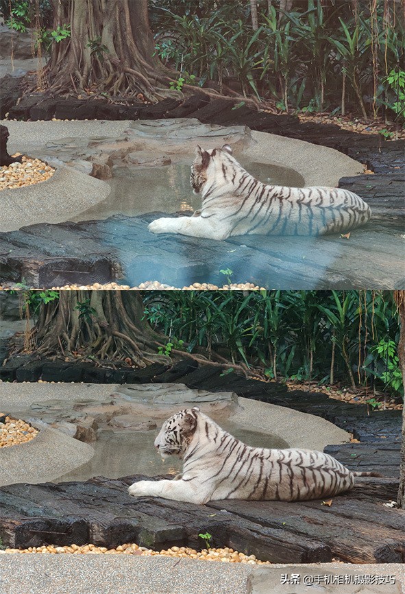 拍照反光!这个困扰你许久的问题,终于有解决办法了