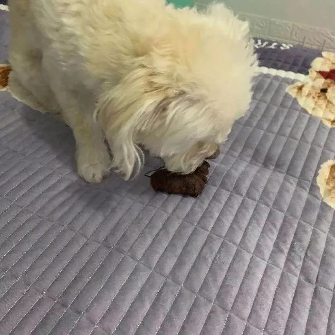 “不带口罩试试,试试就逝世!”网友:哈哈这操作令人瑟瑟发抖