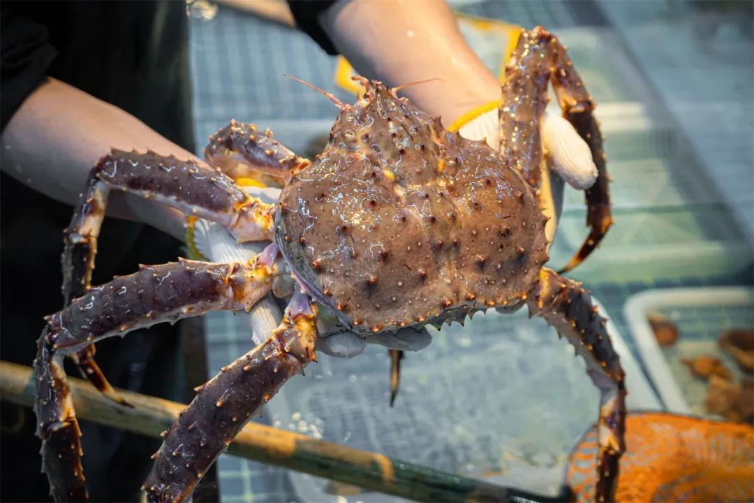 颐海国际海鲜自助海胆,北京海鲜自助海胆鳌虾不限量