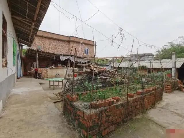 窃格瓦拉重出江湖完整视频,窃格瓦拉为什么在网络上爆红