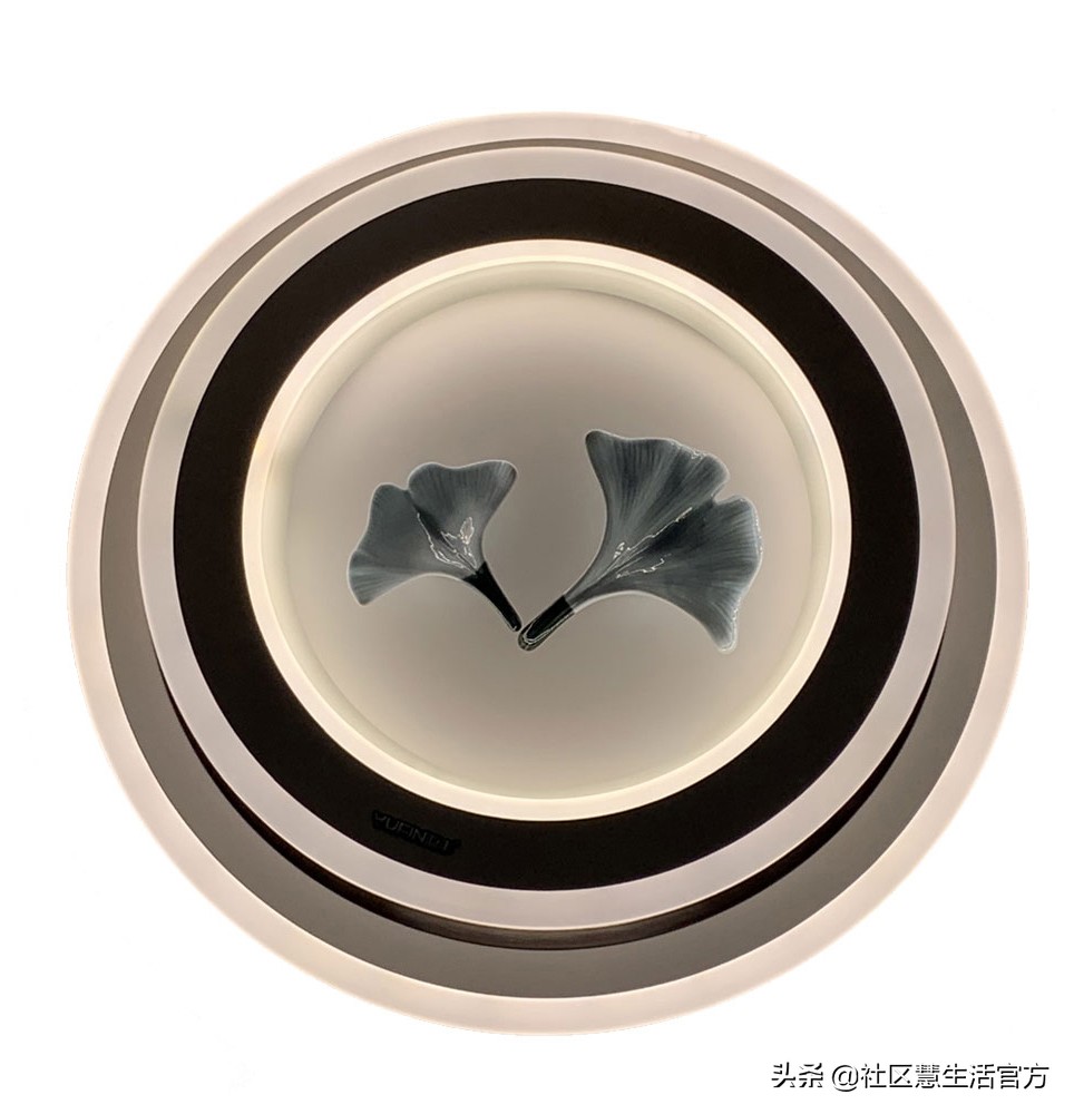 简约吸顶灯客厅卧室灯推荐,超薄吸顶灯风扇灯简约卧室客厅