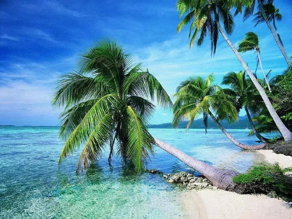 多国旅行签证办理流程,全球旅行签证攻略