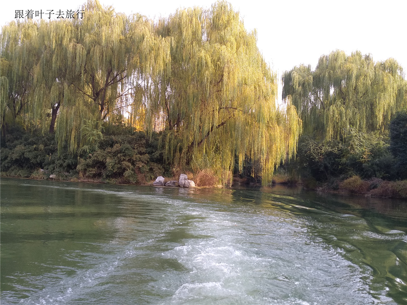 大明湖畔南丰祠雨荷厅前的荷花池,大明湖南丰祠的传说