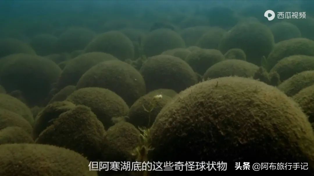 豆瓣9.1分，看过不足1500人，我却复盘了张日本最全野游图