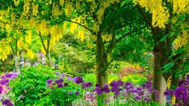 怎样使作文的立意深刻,作文如何点题突出中心