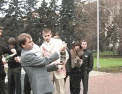 被香槟酒瓶塞打懵是一种什么体验?沙雕们纷纷给出答案