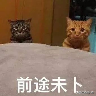 保研了还能出国留学吗,保研985和出国留学选哪个