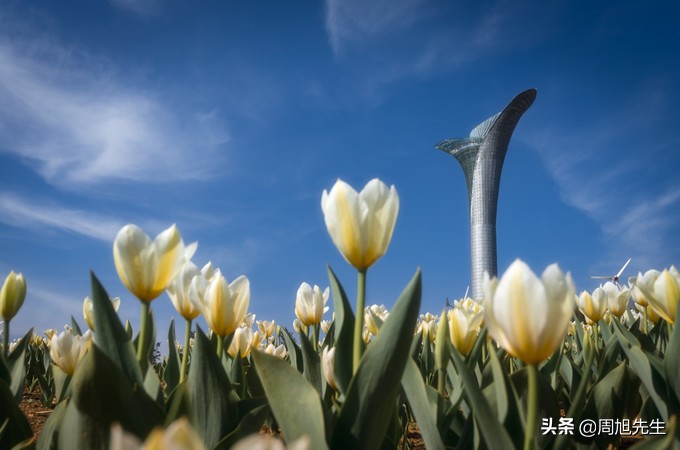 从沈阳去三亚旅游攻略路线推荐图,沈阳旅游攻略三日游最佳路线
