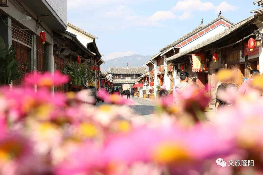 青龙街游玩地图已更新！一起去解锁新玩法吧~