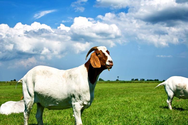 欧洲中世纪的黑暗生活,中世纪的欧洲人后来怎么变干净的