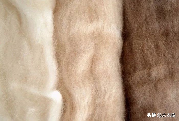 别傻乎乎分不清“羊绒大衣”和“双面呢大衣”,为什么差别10倍?