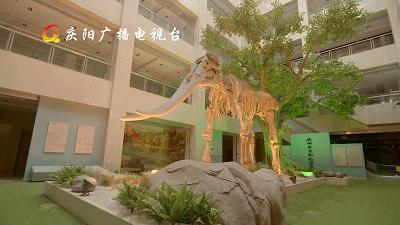 甘肃一座低调古镇,甘肃庆阳小城视频