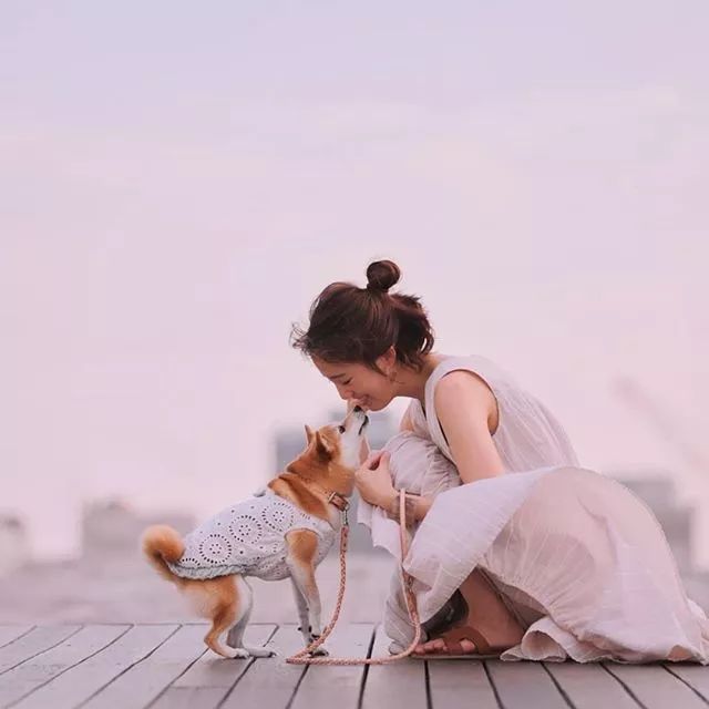 比人还会拍照的狗,简直萌炸朋友圈了