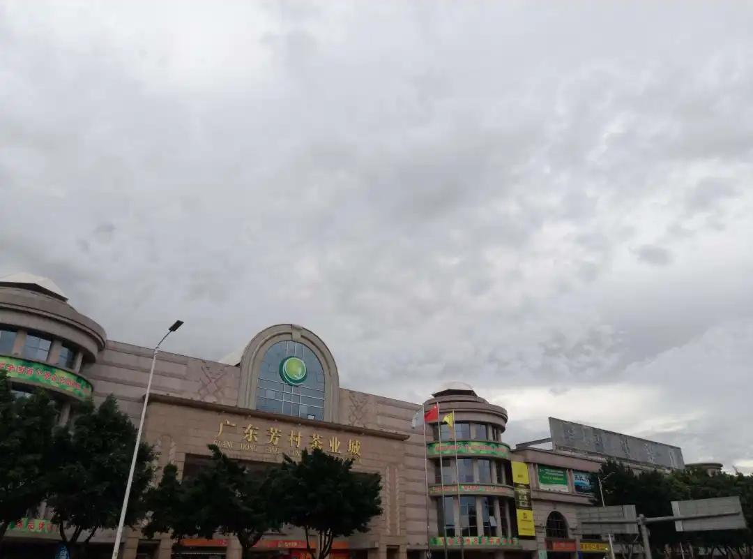 澶х泭鑺虫潙鐜扮姸濡備綍,鑺虫潙澶х泭鑼跺彾甯傚満