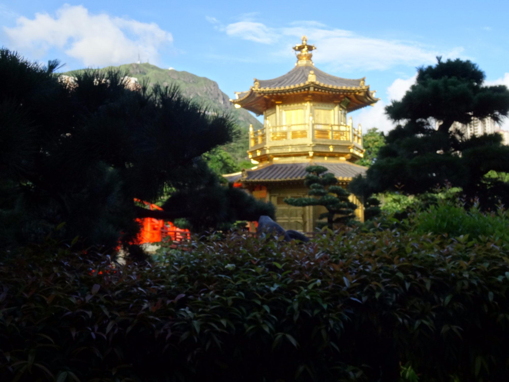 香港志莲净苑地图,香港志莲净苑好玩吗