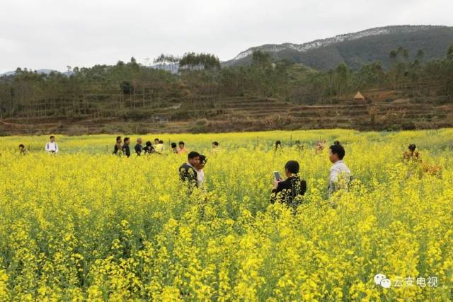 云雾山旅游区景点,美丽云雾山旅游攻略