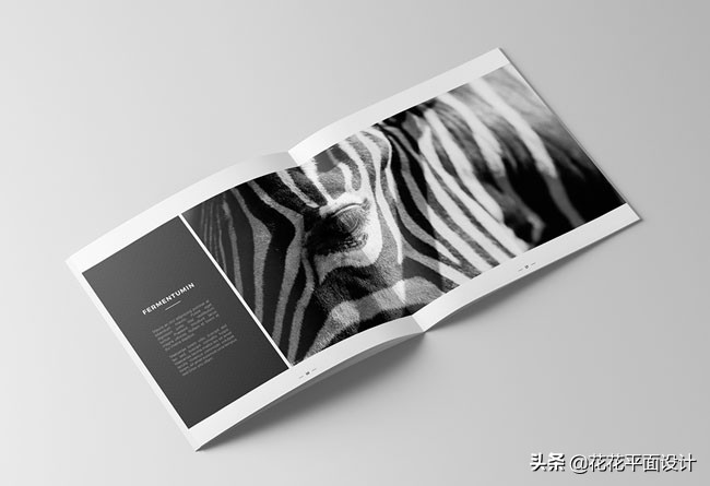 画册版式设计欣赏,艺术画册版式欣赏