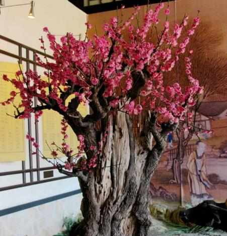 室内养十种花旺财,家里养这2种花净化空气带来好运