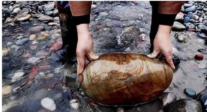 新石种大全,最新发现的石种