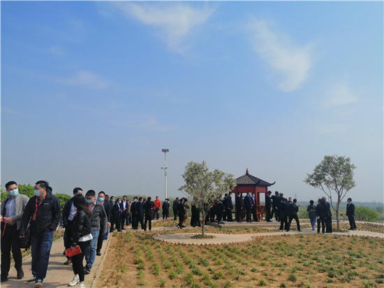 邱县第五届文冠果花节,邱县文冠花节掠影