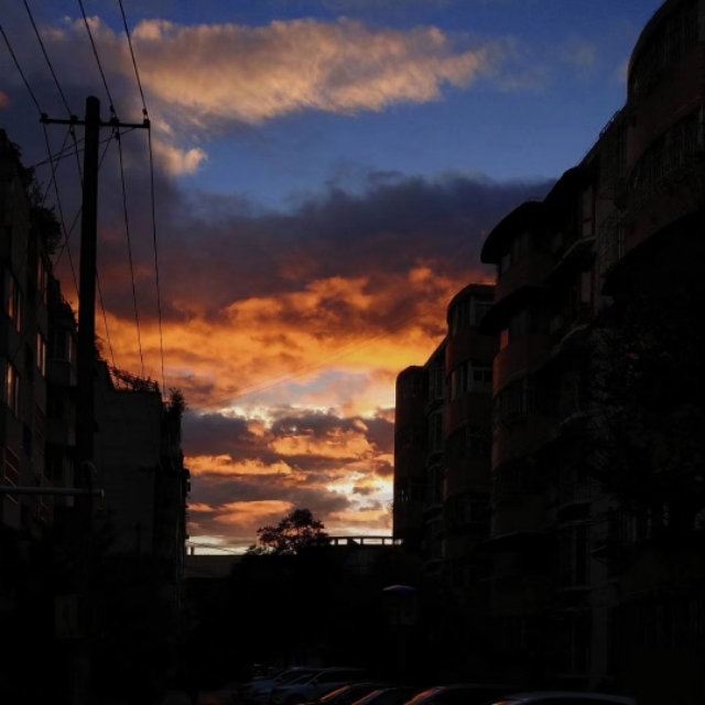 2019犯凶星的属相,2019年犯凶星的属相