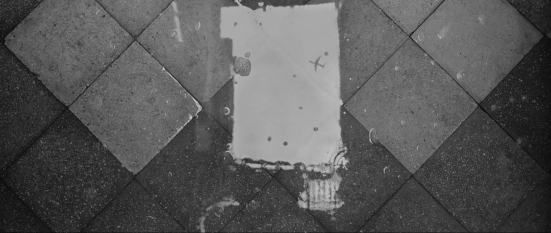 拿过奥斯卡最佳导演三次,拿奥斯卡最佳导演奖