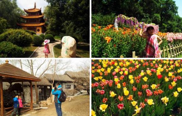 沈阳旅游景点大全排行榜前十名,沈阳必去的三大景点沈阳森林公园