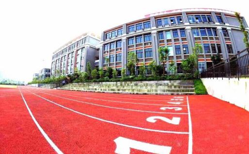 重庆南岸小学学校排名,重庆南岸区小学校招生范围一览