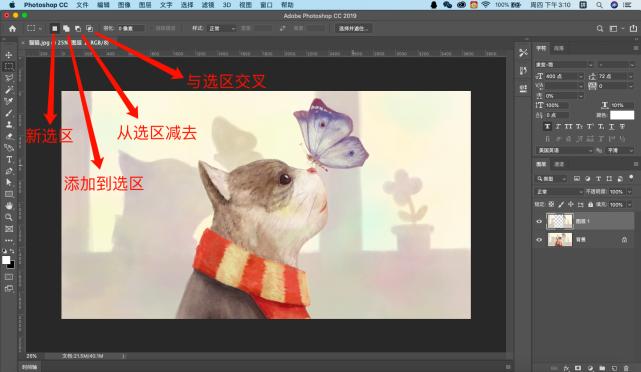 ps选区基础操作教程,ps基础教程新手快速建立选区