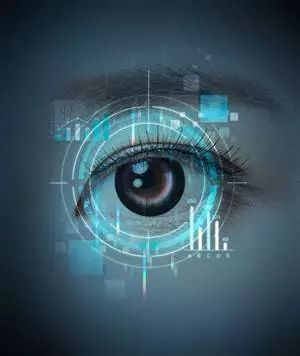 鲟软骨活性肽,鲟鳇鱼软骨蛋白肽的作用