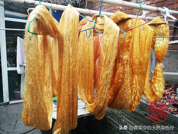 染色植物手工,纯手工植物染布棉布