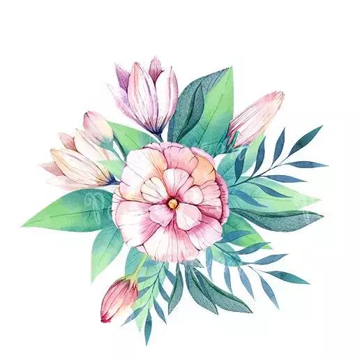 hpv是什么病毒会死人吗,hpv感染是不是一定是宫颈癌