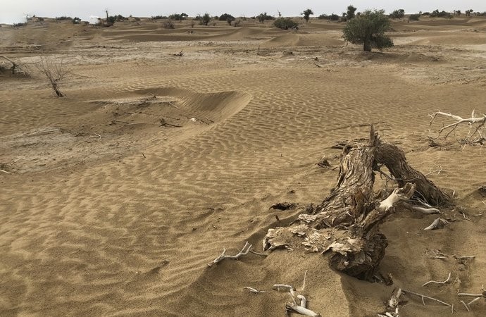 罗布泊无人区死亡之海以前的样子,新疆罗布泊死亡之海可以怎么去