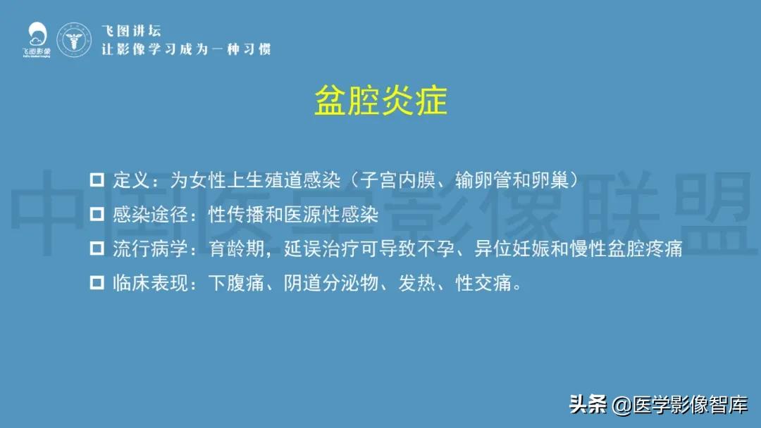 子宫解剖结构输卵管和卵巢位置,子宫附件ct影像学正常解剖表现