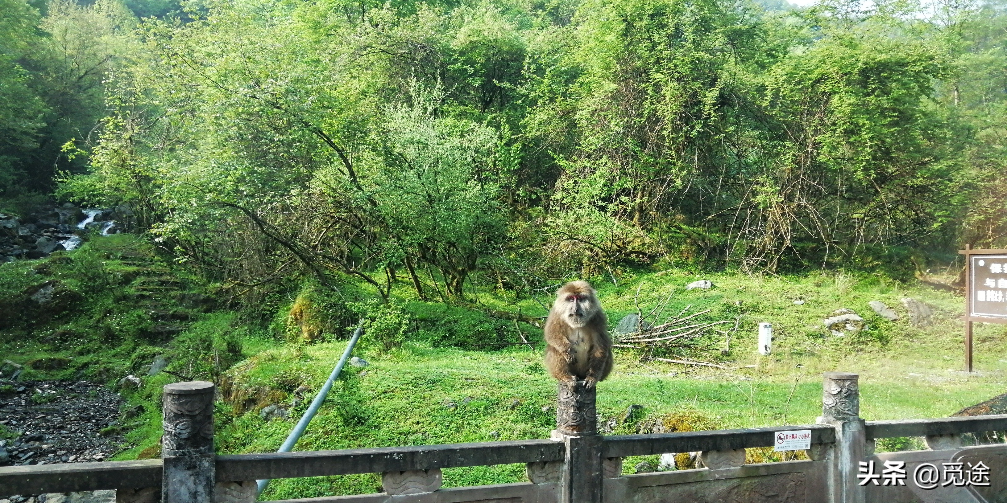 成都天然氧吧旅游景点,四川喇叭河风景区