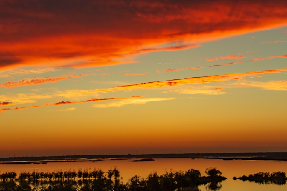 衡水湖有多美丽,七月衡水湖