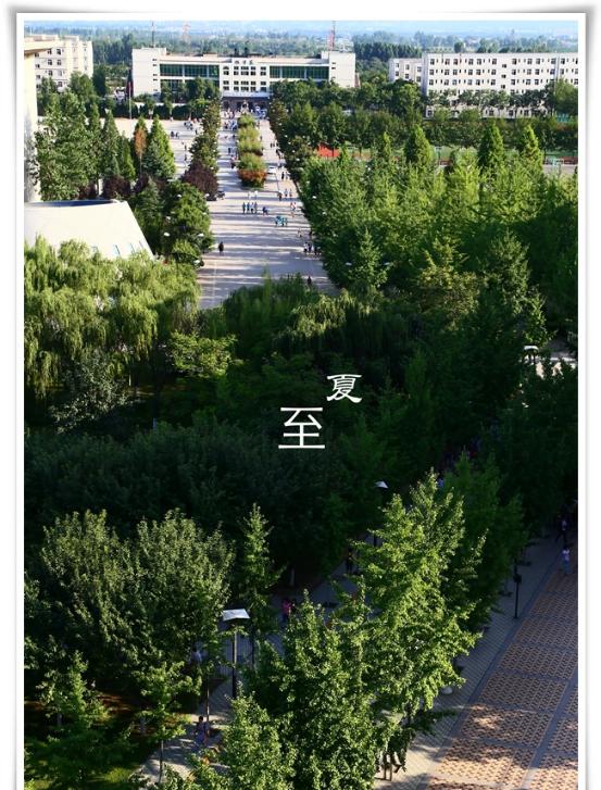 颜值爆表!28万平绿地,55%绿化率,来看西安这所园林式高校